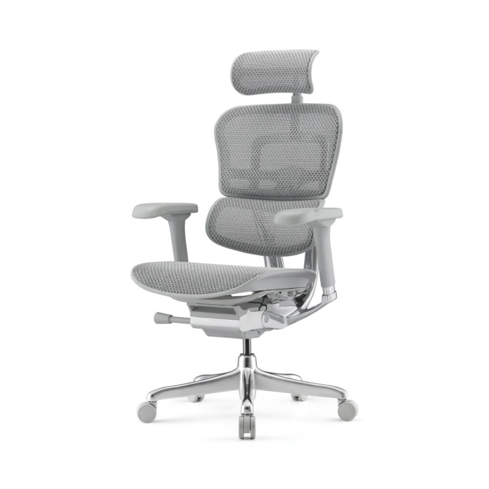 Ergohuman Elite 2 Cinza
