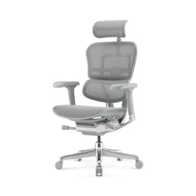Ergohuman Elite 2 Cinza