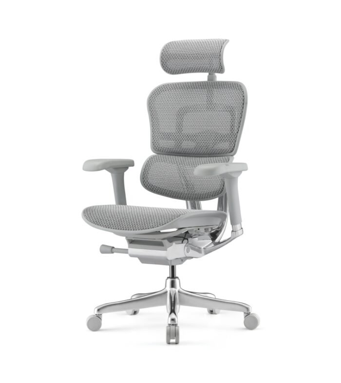 Ergohuman Elite 2 Cinza