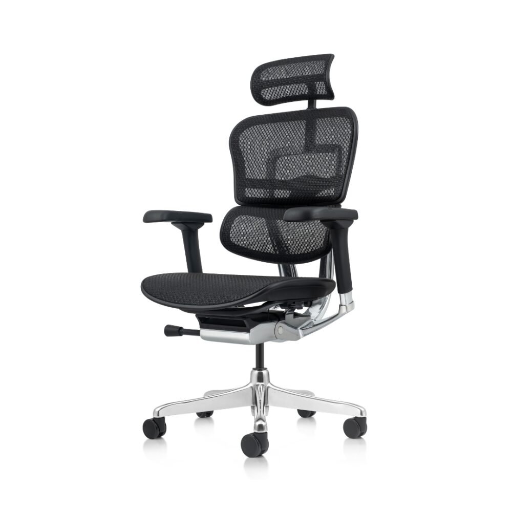 Ergohuman Elite 2 Preta