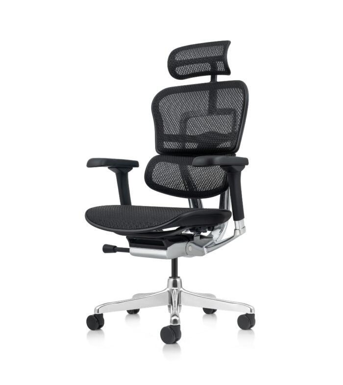 Ergohuman Elite 2 Preta