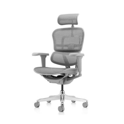 Ergohuman Ultra Cinza