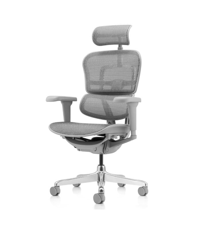 Ergohuman Ultra Cinza