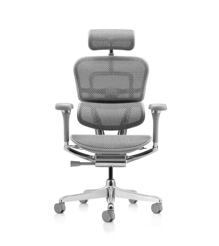 Ergohuman Elite Pro Luxury Cinza