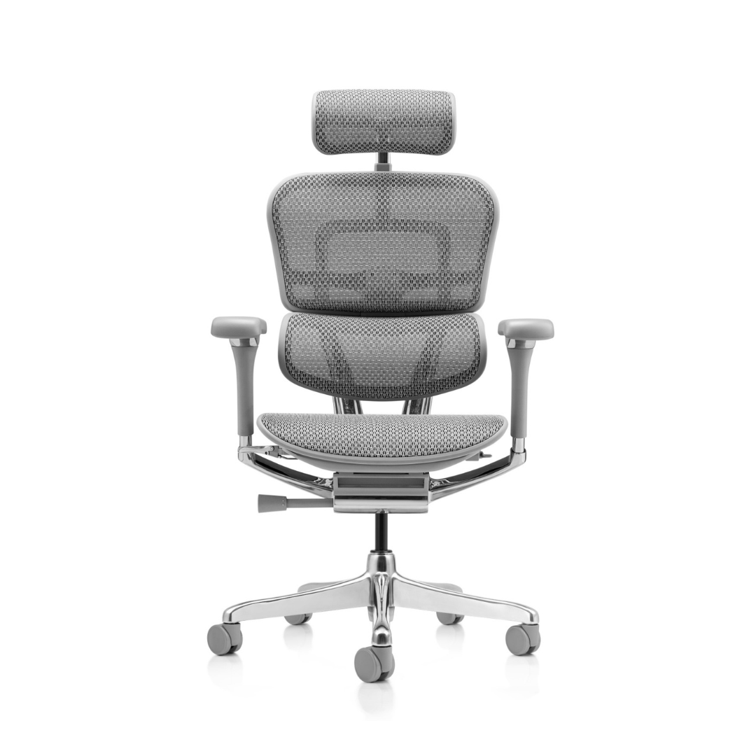 Ergohuman Elite Pro Luxury Cinza